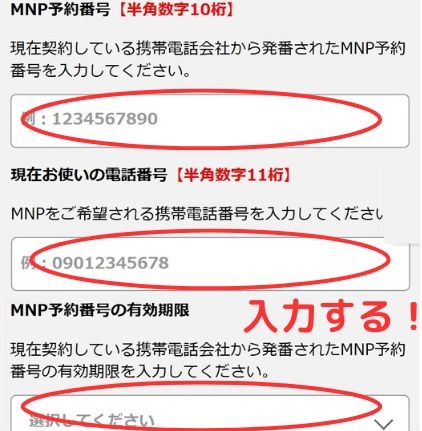 mineoご契約手順14