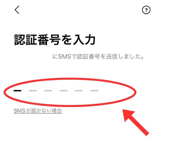 LINEの認証番号入力方法